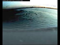 Webcam Farmoor