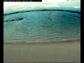 Webcam Farmoor