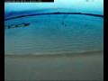 Webcam Farmoor