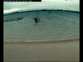Webcam Farmoor