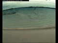 Webcam Farmoor