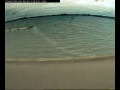 Webcam Farmoor