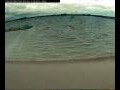 Webcam Farmoor