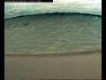 Webcam Farmoor