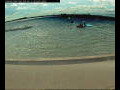 Webcam Farmoor