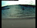 Webcam Farmoor