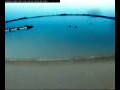 Webcam Farmoor