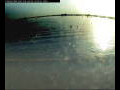 Webcam Farmoor