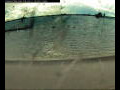 Webcam Farmoor