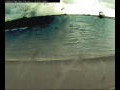 Webcam Farmoor