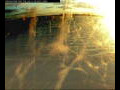 Webcam Farmoor