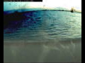 Webcam Farmoor