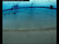 Webcam Farmoor