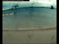 Webcam Farmoor