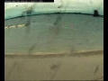 Webcam Farmoor