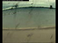 Webcam Farmoor