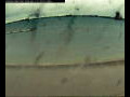 Webcam Farmoor