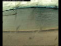 Webcam Farmoor