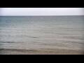 Webcam Algoma, Wisconsin
