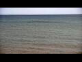 Webcam Algoma, Wisconsin