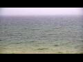 Webcam Algoma, Wisconsin