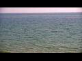 Webcam Algoma, Wisconsin