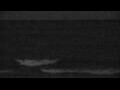 Webcam Algoma, Wisconsin