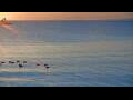 Webcam Algoma, Wisconsin