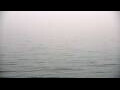 Webcam Algoma, Wisconsin