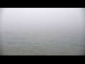 Webcam Algoma, Wisconsin