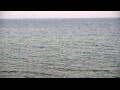 Webcam Algoma, Wisconsin