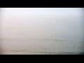 Webcam Algoma, Wisconsin