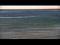 Webcam Algoma, Wisconsin
