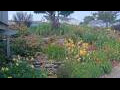 Webcam Algoma, Wisconsin