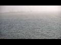 Webcam Algoma, Wisconsin