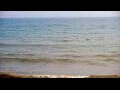 Webcam Algoma, Wisconsin