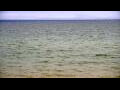 Webcam Algoma, Wisconsin