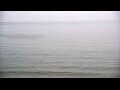 Webcam Algoma, Wisconsin
