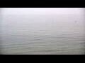Webcam Algoma, Wisconsin