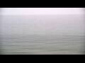 Webcam Algoma, Wisconsin