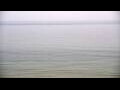 Webcam Algoma, Wisconsin
