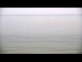 Webcam Algoma, Wisconsin