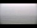 Webcam Algoma, Wisconsin