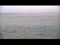 Webcam Algoma, Wisconsin
