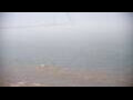 Webcam Algoma, Wisconsin