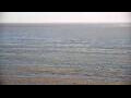 Webcam Algoma, Wisconsin