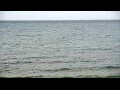 Webcam Algoma, Wisconsin