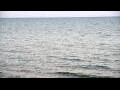 Webcam Algoma, Wisconsin