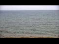 Webcam Algoma, Wisconsin