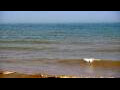 Webcam Algoma, Wisconsin